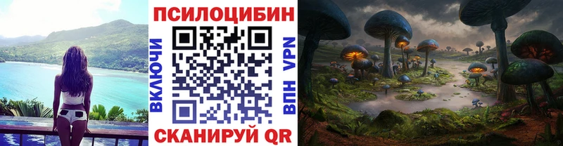 mega   Отрадный  Псилоцибиновые грибы Psilocybine cubensis 